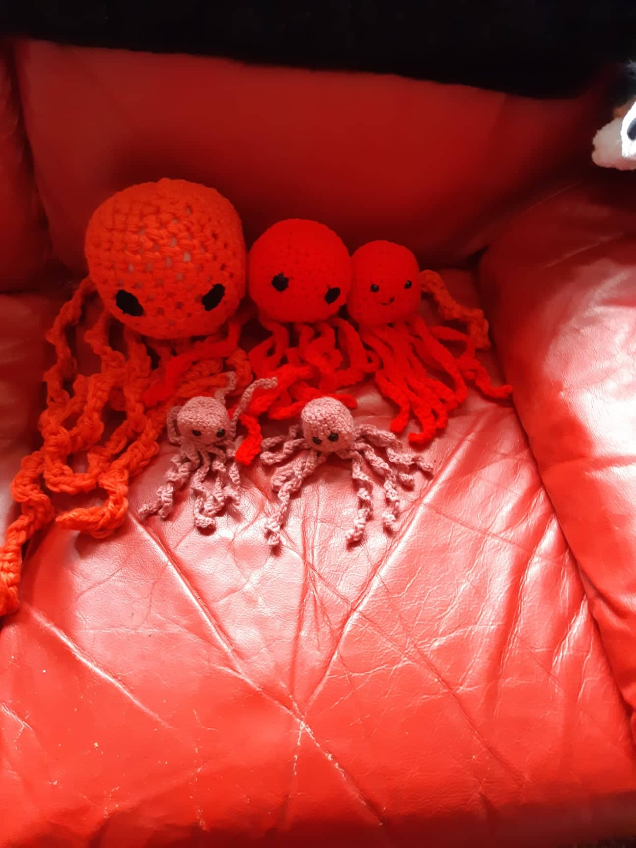 MaryBrigid's Crochetted Octos